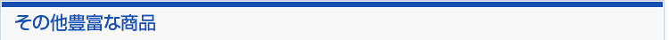その他豊富な商品