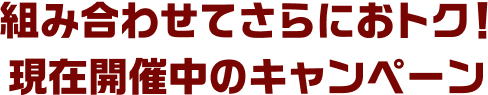 組み合わせてさらにおトク！現在開催中のキャンペーン