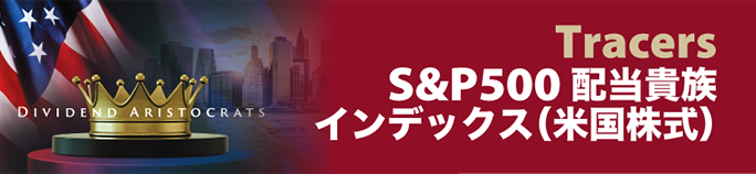 S＆P500 配当貴族インデックス（米国株式）