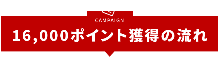 CAMPAIGN 16,000ポイント獲得の流れ