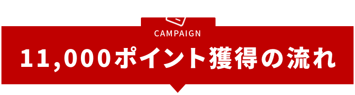 CAMPAIGN 11,000ポイント獲得の流れ