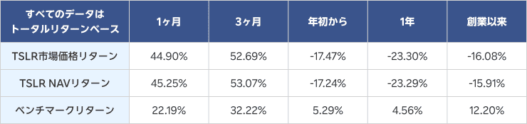 グラナイトシェアーズ2倍ロングTSLAデイリーETF 1（TSLR）パフォーマンス