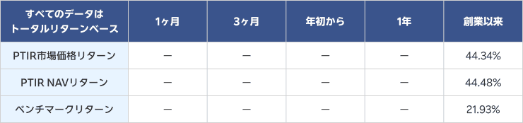 グラナイトシェアーズ2倍ロングPLTRデイリーETF（PTIR）パフォーマンス