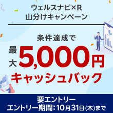 ＜要エントリー＞【ウェルスナビ×R】合計150万円山分け！最大5,000円キャッシュバックキャンペーン