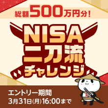 総額500万円分！NISA二刀流チャレンジ