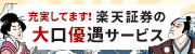 充実してます！ 楽天証券の大口優遇サービス