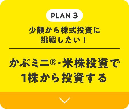 PLAN 3 | 少額から株式投資に挑戦したい！ かぶミニ®・米株投資で1株から投資する