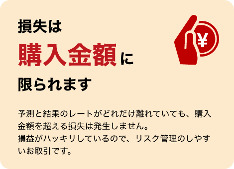 損失は購入金額に限られます