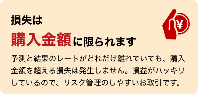 損失は購入金額に限られます