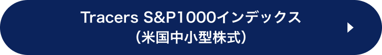 Tracers S&P1000インデックス（米国中小型株式）