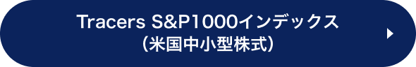 Tracers S&P1000インデックス（米国中小型株式）