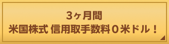 3ヶ月間米国株式 信用取手数料０米ドル！