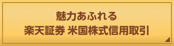 魅力あふれる楽天証券 米国株式信用取引