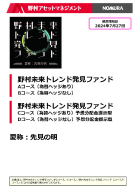 野村未来トレンド発見ファンドBコース（為替ヘッジなし）