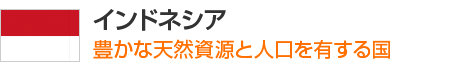 インドネシア 豊かな天然資源と人口を有する国